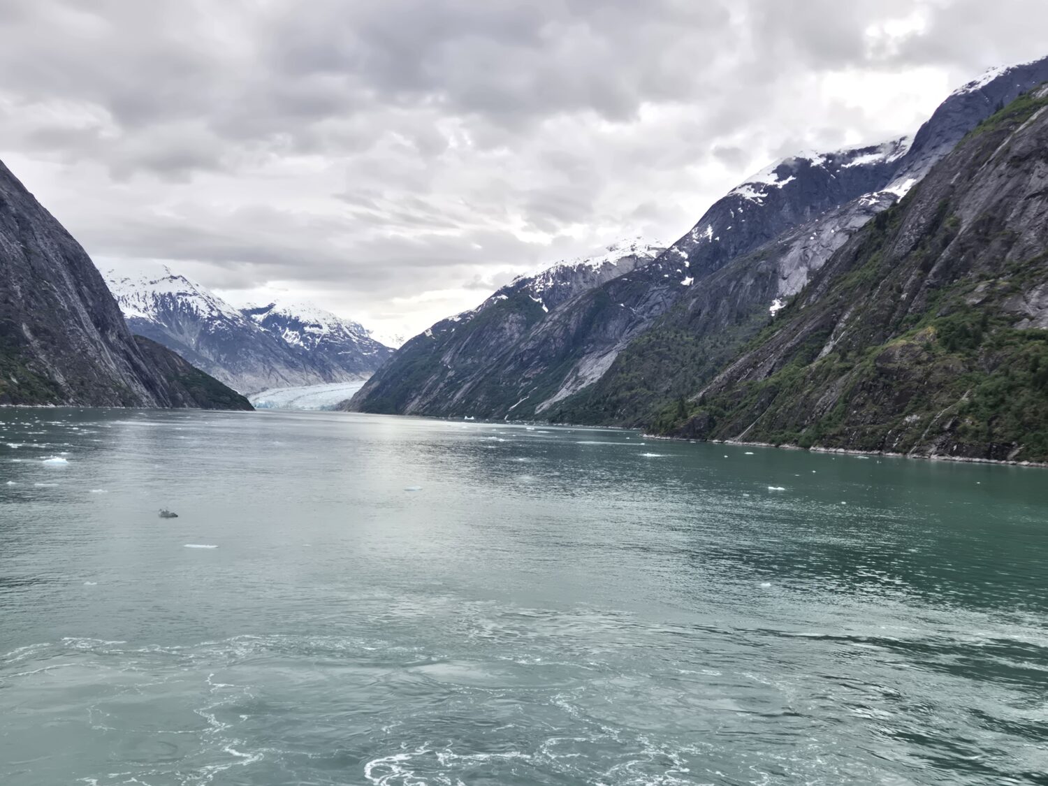 Alaska Cruise with Kids — Our Honest Guide to Royal Caribbean Serenade of the Seas 3 Alaska Cruise with Kids — Our Honest Guide to Royal Caribbean Serenade of the Seas